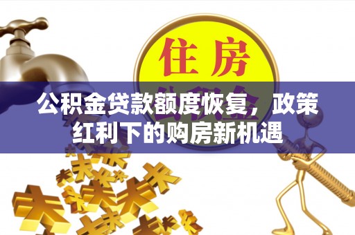 镇康公积金贷款额度恢复，政策红利下的购房新机遇