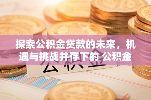 镇康探索公积金贷款的未来，机遇与挑战并存下的 公积金贷款风险防控
