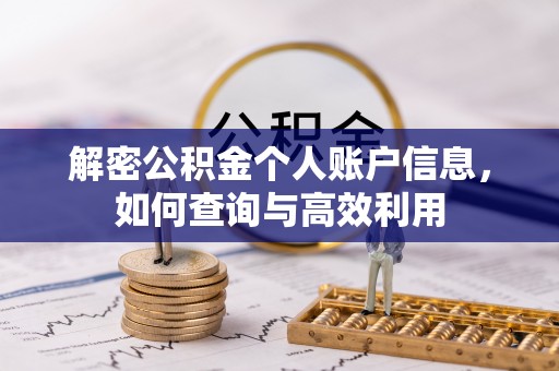 镇康解密公积金个人账户信息，如何查询与高效利用