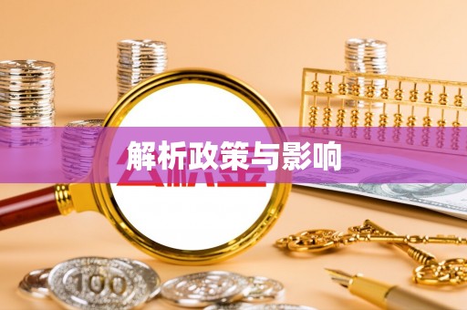 镇康解析政策与影响