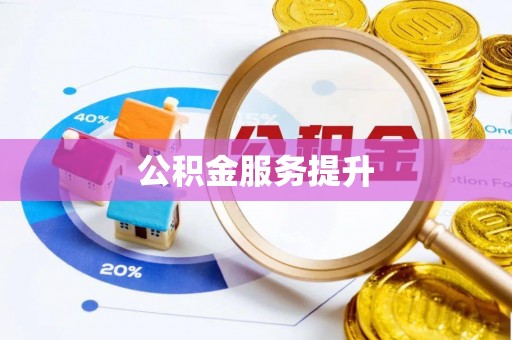 镇康公积金服务提升