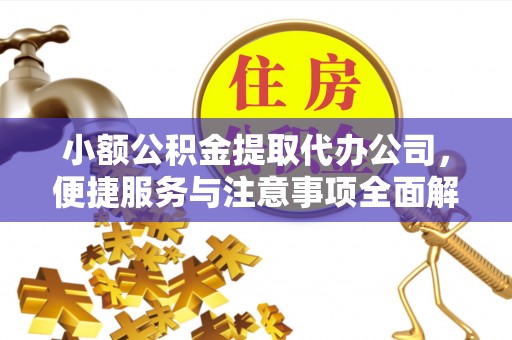 镇康小额公积金提取代办公司，便捷服务与注意事项全面解析