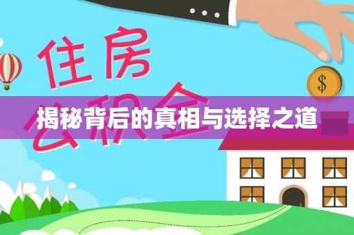 镇康揭秘背后的真相与选择之道