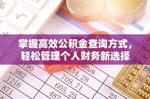 镇康掌握高效公积金查询方式，轻松管理个人财务新选择