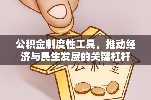 镇康公积金制度性工具，推动经济与民生发展的关键杠杆