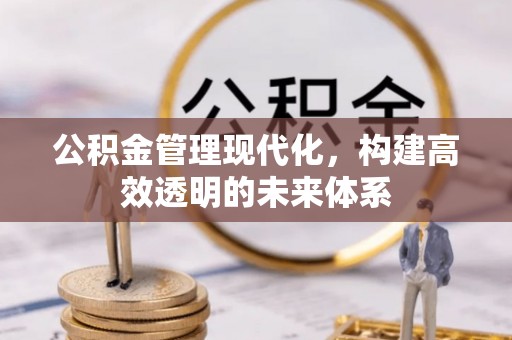 镇康公积金管理现代化，构建高效透明的未来体系