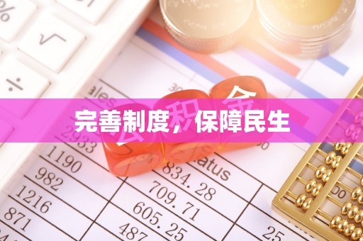 镇康完善制度，保障民生