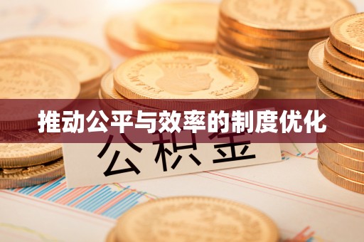 镇康推动公平与效率的制度优化