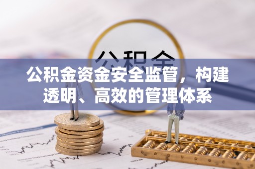 镇康公积金资金安全监管，构建透明、高效的管理体系