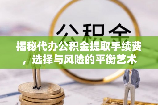 镇康揭秘代办公积金提取手续费，选择与风险的平衡艺术