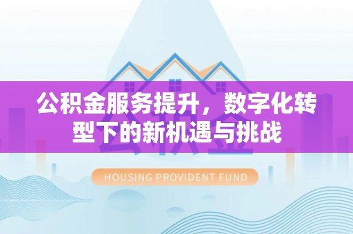 镇康公积金服务提升，数字化转型下的新机遇与挑战