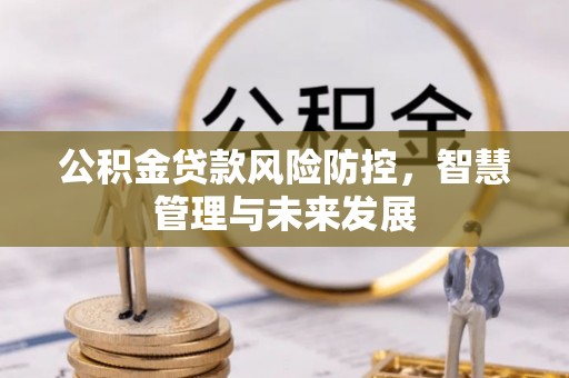 镇康公积金贷款风险防控，智慧管理与未来发展