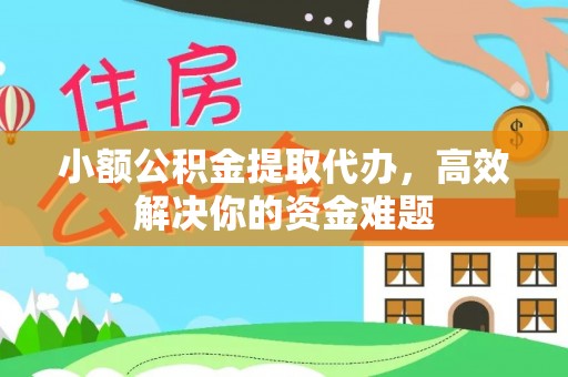 镇康小额公积金提取代办，高效解决你的资金难题