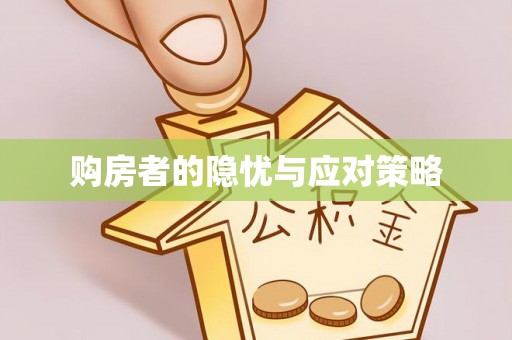 镇康购房者的隐忧与应对策略