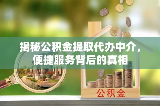 镇康揭秘公积金提取代办中介，便捷服务背后的真相