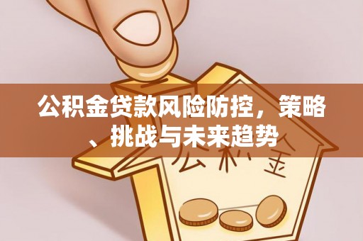 镇康公积金贷款风险防控，策略、挑战与未来趋势