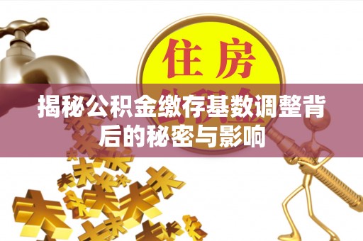 镇康揭秘公积金缴存基数调整背后的秘密与影响