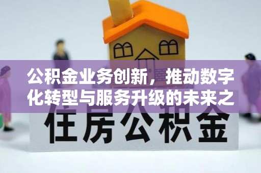 镇康公积金业务创新，推动数字化转型与服务升级的未来之路