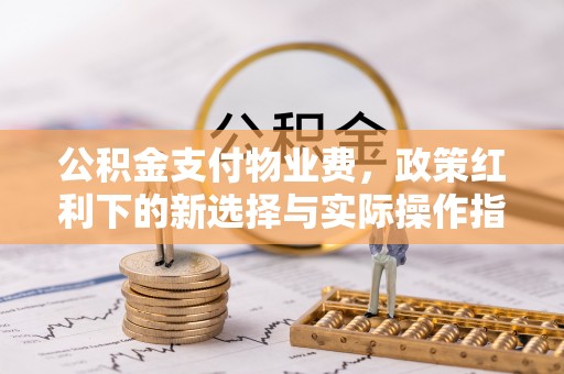 镇康公积金支付物业费，政策红利下的新选择与实际操作指南