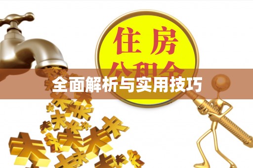 镇康全面解析与实用技巧