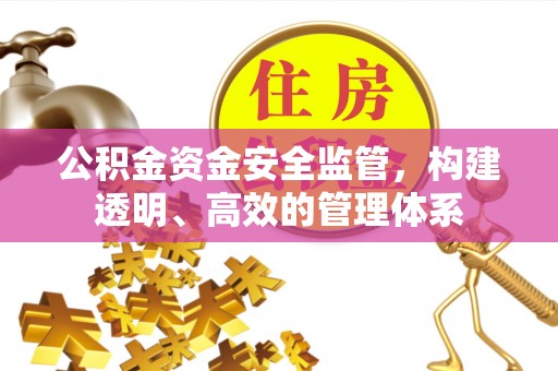 镇康公积金资金安全监管，构建透明、高效的管理体系
