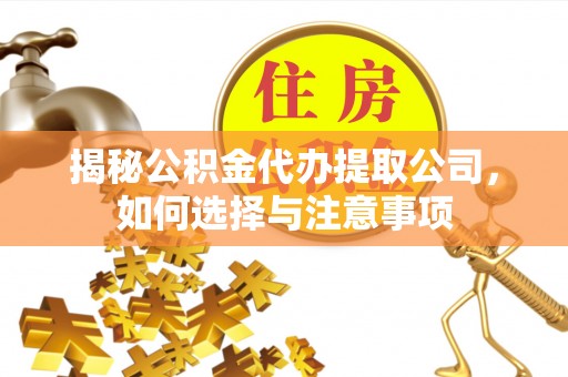 镇康揭秘公积金代办提取公司，如何选择与注意事项
