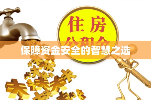 镇康保障资金安全的智慧之选