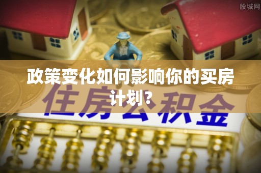 镇康政策变化如何影响你的买房计划？