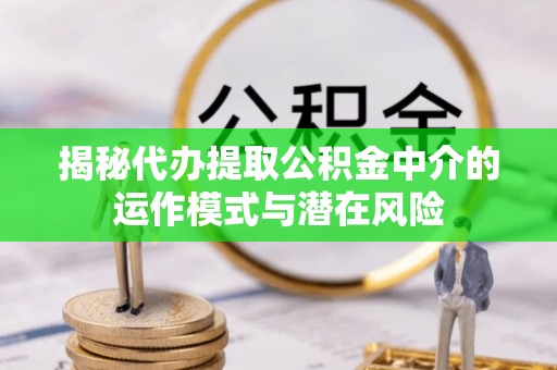 镇康揭秘代办提取公积金中介的运作模式与潜在风险