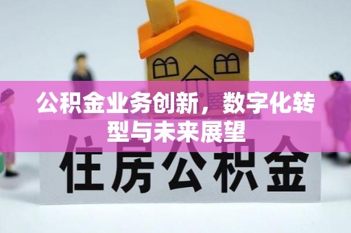 镇康公积金业务创新，数字化转型与未来展望
