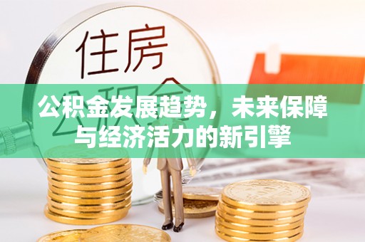 镇康公积金发展趋势，未来保障与经济活力的新引擎