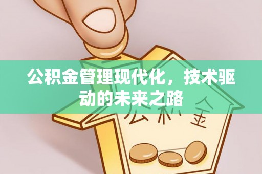 镇康公积金管理现代化，技术驱动的未来之路